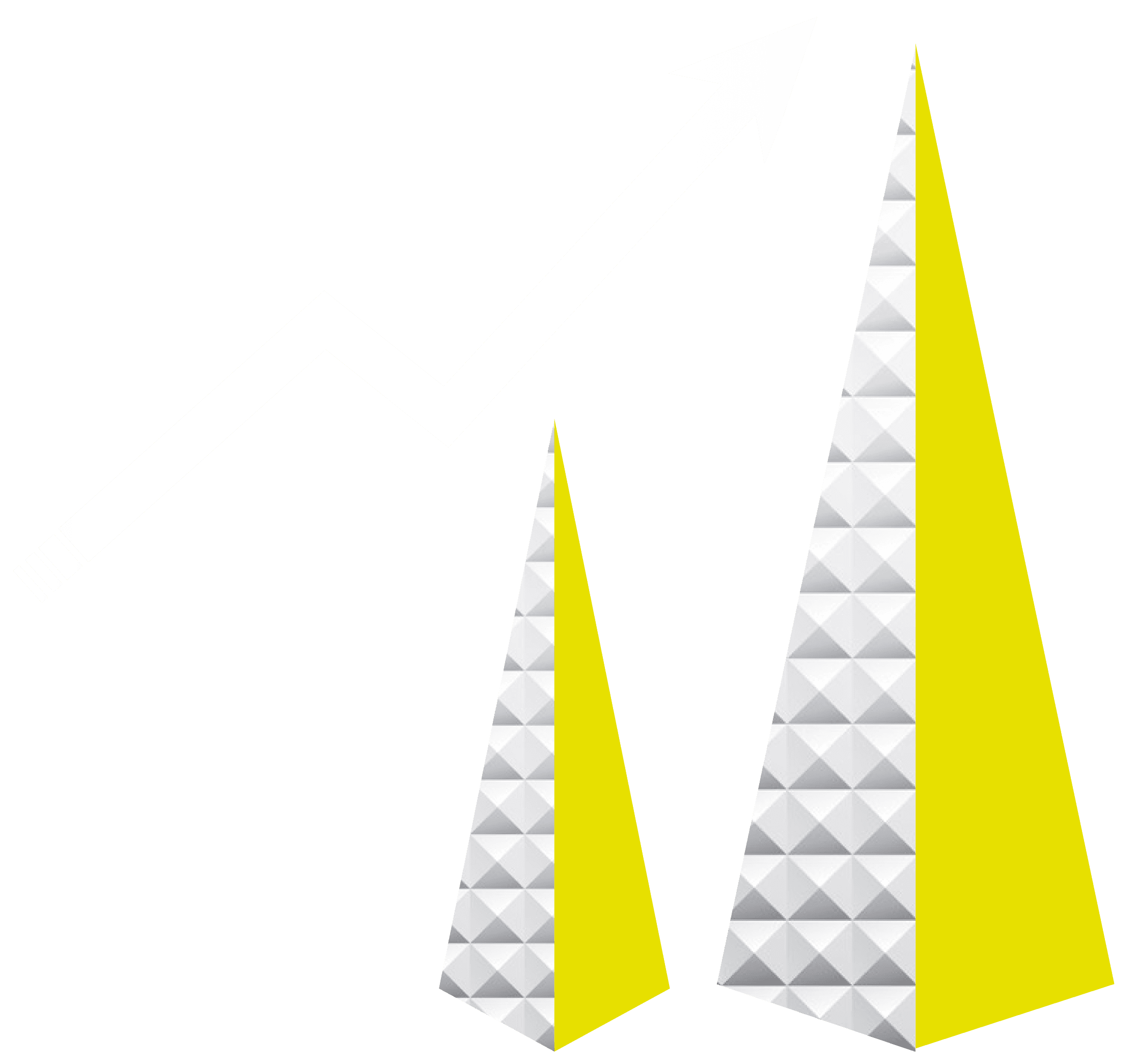 21% l'aumento dei ricavi dei brand che investono sulla DEI